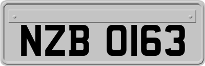 NZB0163
