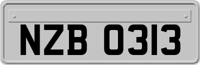 NZB0313