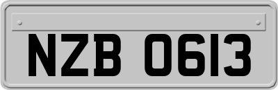 NZB0613