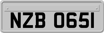 NZB0651