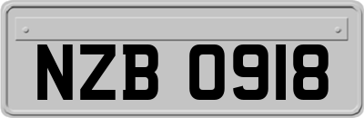 NZB0918