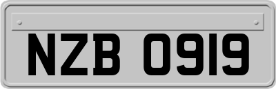 NZB0919
