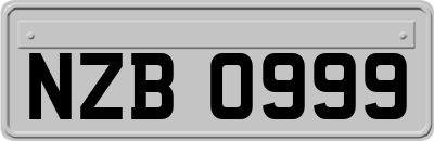 NZB0999