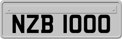 NZB1000