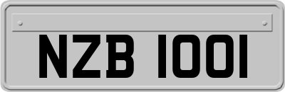 NZB1001