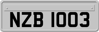 NZB1003