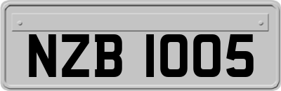 NZB1005
