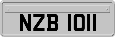 NZB1011