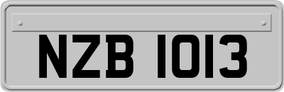 NZB1013