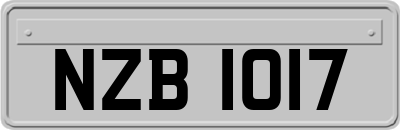 NZB1017