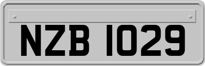NZB1029