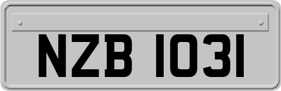 NZB1031