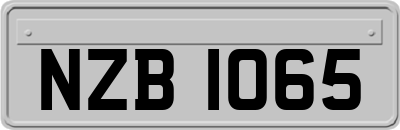 NZB1065