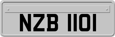 NZB1101