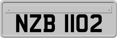 NZB1102
