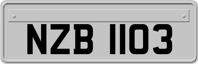 NZB1103