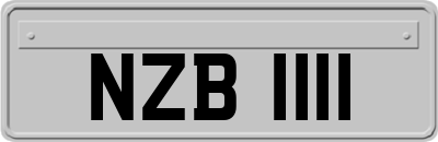 NZB1111