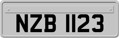 NZB1123