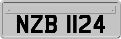 NZB1124