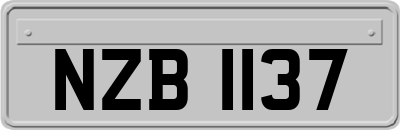 NZB1137