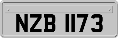 NZB1173