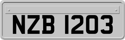 NZB1203