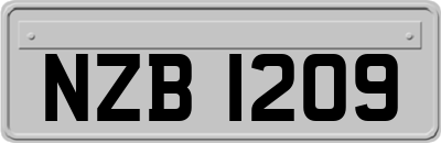 NZB1209