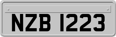 NZB1223