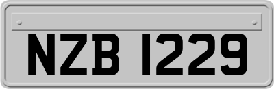 NZB1229