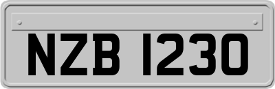 NZB1230