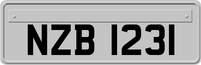 NZB1231