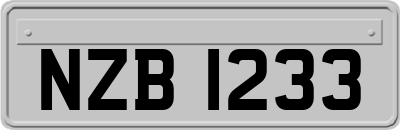 NZB1233