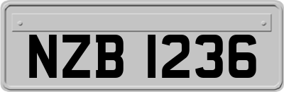 NZB1236