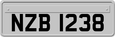 NZB1238