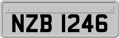 NZB1246