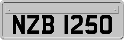 NZB1250