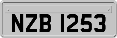 NZB1253