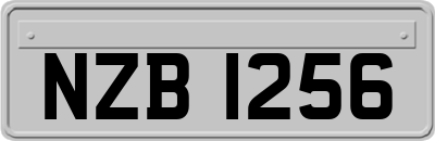 NZB1256