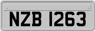 NZB1263