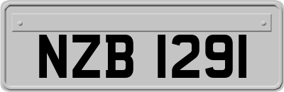 NZB1291