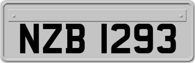 NZB1293