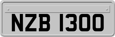 NZB1300
