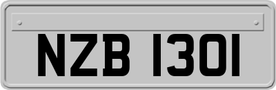 NZB1301