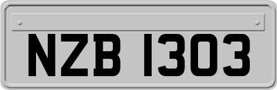 NZB1303