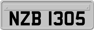 NZB1305