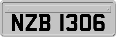 NZB1306