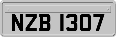 NZB1307