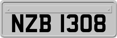 NZB1308