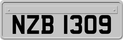 NZB1309