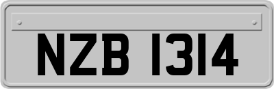 NZB1314